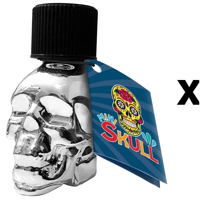 FL Leather Cleaner MINI SKULL QUICK SILVER 15ml x6
